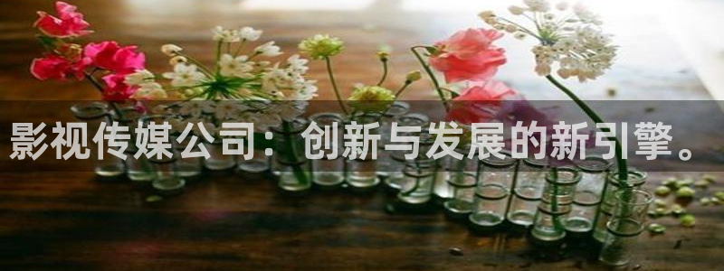 好好看影院：影视传媒公司：创新与发展的新引擎。