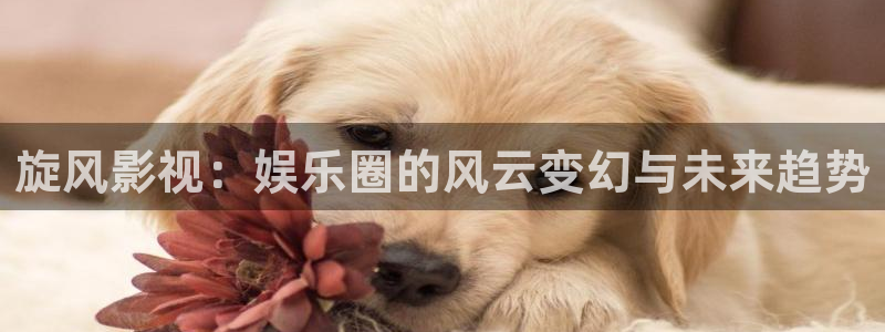 四虎好看影院：旋风影视：娱乐圈的风云变幻与未来趋势