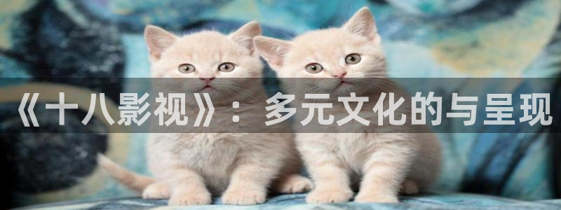 好好看影院：《十八影视》：多元文化的与呈现