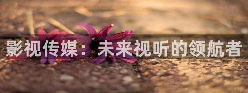 《四库影视》电视剧在线观看-好看影院：影视传媒：未来视听的领航者