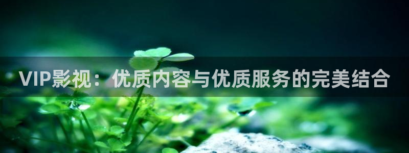 好看影院：VIP影视：优质内容与优质服务的完美结合