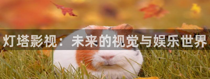 《四库影视》电视剧在线观看-好看影院：灯塔影视：未来的视觉与娱乐世界